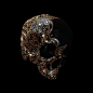 Hope you like skulls... : HOPE YOU LIKE SKULLS...There's 50 of them !!!A series of personal print designs that started as simple experiments but ended up taking over my life.This series focuses on key patterns that influenced humanity through the millenia