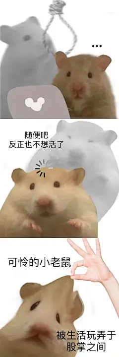 鼠鼠表情包