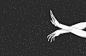 热门 | Tumblr