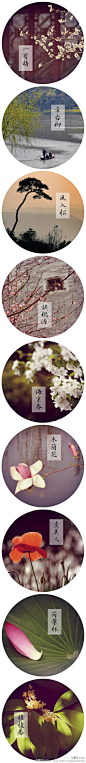 [【艺术创意】花间集。] - 醉美中国风，摄影：青简。