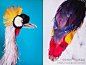 Diana Beltrán Herrera，哥伦比亚女艺术家，出生于1987年，她的纸艺作品大多是鸟类，制作细腻逼真，色彩丰富绚丽。