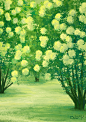 【享·玩】03 木绣球_卡乐筠__插画师作品_涂鸦王国gracg.com