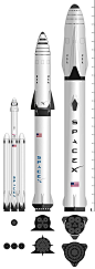 Here are some of the space transport vehicles of #SpaceX. Also did you ever wonder why they cant take off like a regular plane? Click on the link to find out  !