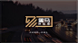 logo 提报 物流 品牌 vi设计