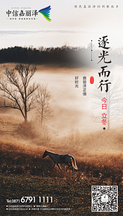 果粒仁儿采集到ld