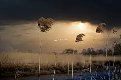 里特胡德风景壁纸-里特胡德高清5k动态壁纸 - 未来Mac下载