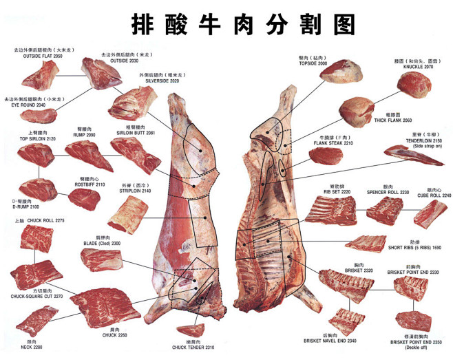 排酸牛肉分割图    牛肉 的 部位图解...