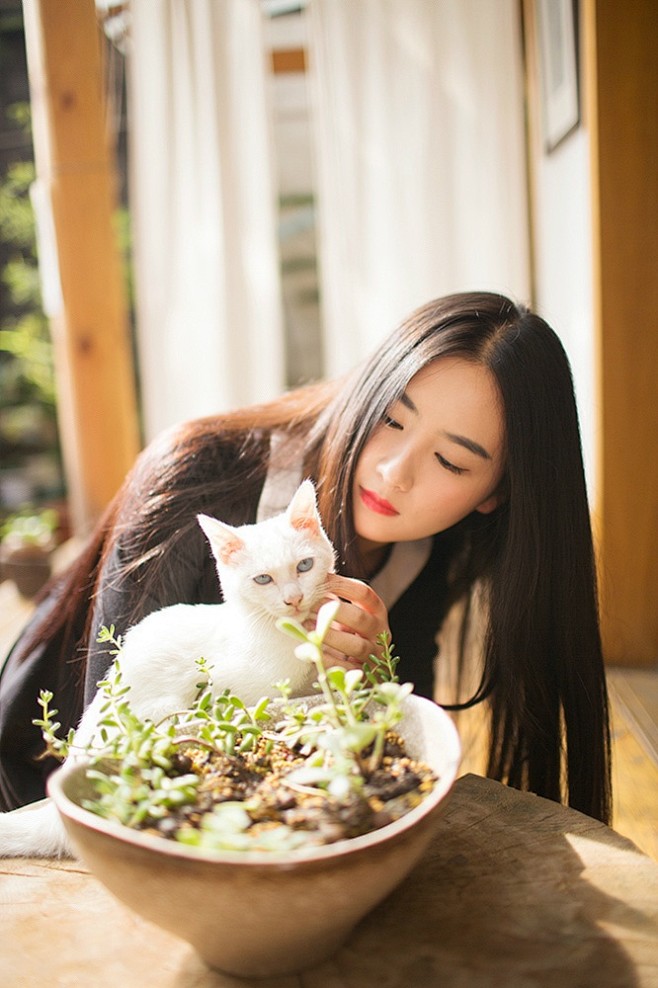 时光如水，总是安然，穿过叶脉葱茏，拢一径...