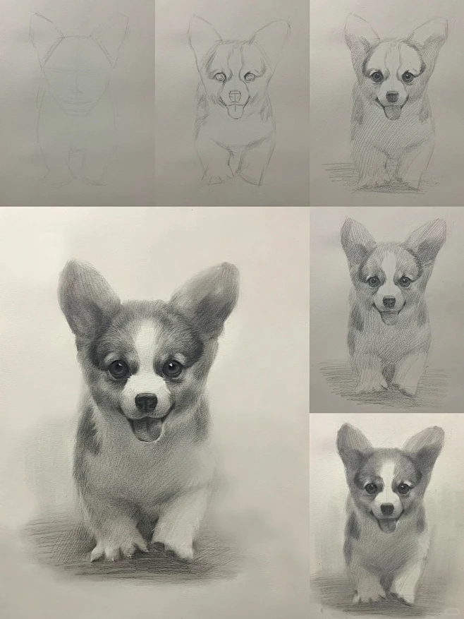 素描动物合集 详细绘画步骤图文