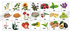 中草药 【酷图网】中医草药,中药材,中草药,草药篇,草药图片,草药照片,草药海报,草药广告,草药图,党参,肉豆蔻,向日葵,地黄,越桔,薄荷,马鞭草,滇黄精,蛹虫草,红景天,鱼腥草,花椒,姜巴,橄榄,百合花,玲兰花,草莓,凤梨,普洱茶,核桃,牛油果