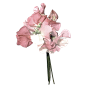 花枝花草免抠PNG图片素材（第⑤集)
