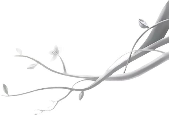花花