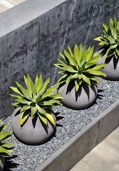 室外花钵花瓶花盆容器陶瓷瓷器陶器北坤人素材