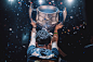Trophy CBLOL 2017