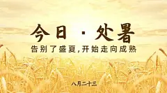 处暑节气秋天稻田农耕横版海报