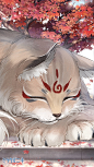 morei猫猫的照片 - 微相册