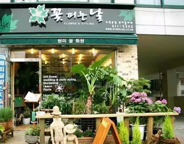 最美的莫过于街角的花店