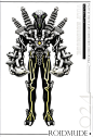 ROIDMUDE_047