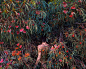 Itamar Freed - Art Fucks Me : is an Israeli photographer born in NYC who lives and works in London & Israel. Itamar Freed received his B.F.A from the Bezalel Academy of...