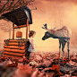 Caras Ionut 创意儿童照片合成作品欣赏