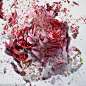 花朵破裂之美：冰花被气枪击中如极致盛开-摄影-艺术- 图片收藏网 - 以图会友 - U517