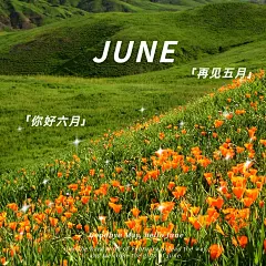 六月你好花从星星月初问候文艺风plog模板