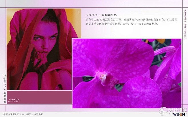 WGSN 2018春夏全球色彩 - 流行...