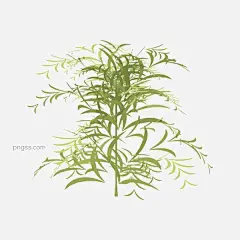 简约扁平手绘风绿色植物灌木矢量元素图片大小8334x8334px 图片尺寸1.91 MB 来自PNG搜索网 pngss.com 免费免扣png素材下载！草木#灌木#绿色植物#绿叶#绿植#矢量#手绘风#树木#植物#植物素#装饰图案#