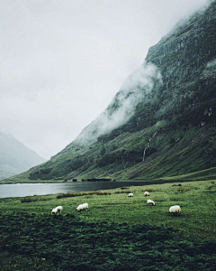 倪皓采集到风景