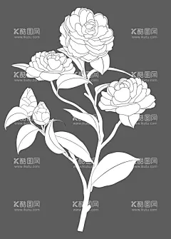 山茶花  - 源文件下载【酷图网】山茶花,山茶花素材,手绘山茶花,春天绿色,树叶植物,手绘,设计,绘画,绿色,植物,花朵,插画
