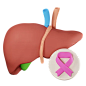 Liver cancer  3D Icon
