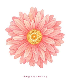 Darren丶飞采集到花