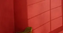 红色背景背景电商背景海报植物城高清素材 花卉 免费下载 页面网页 平面电商 创意素材