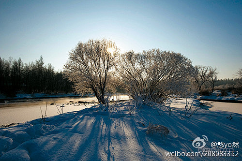 [超简单4招 告诉你如何展现雪景的纯白无...