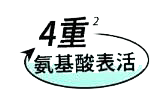 阿丫夏采集到素材-标签