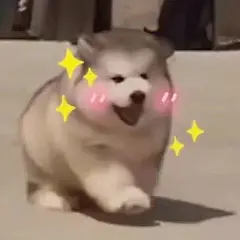聊天必备的可爱沙雕表情包( •̀∀•́ )