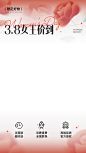 38妇女节女神节弥散玫瑰渐变直播间上下贴片