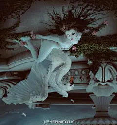 【资源分享】立陶宛女艺术家Natalie Shau作品，她的作品包括摄影和插画，大多数作品还是偏向于猎奇黑暗风格，唯美与诡异的结合