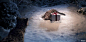 卡地亚2012 圣诞大片：卖萌小猎豹的丛林礼物探险 广告招贴--创意图库 #采集大赛#