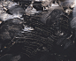 NOTHING REMAINS on Behance