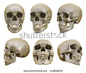 This contains an image of: Human Skull Different Angles Isolated Stock Illustration 143668279 | Shutterstock