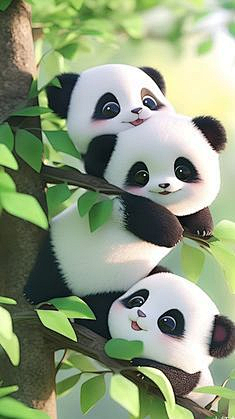 云吖~采集到su cai ku