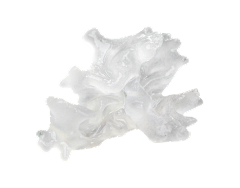 lfiykce采集到素材