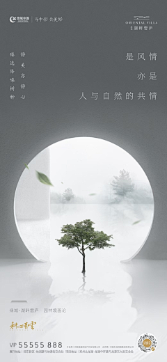ChsqZz采集到海报学习