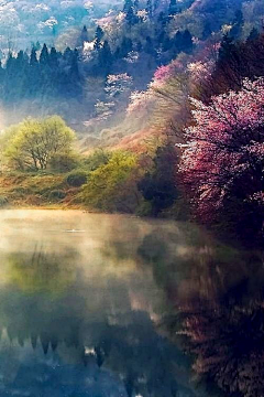 花谢陌香熄采集到背景风景