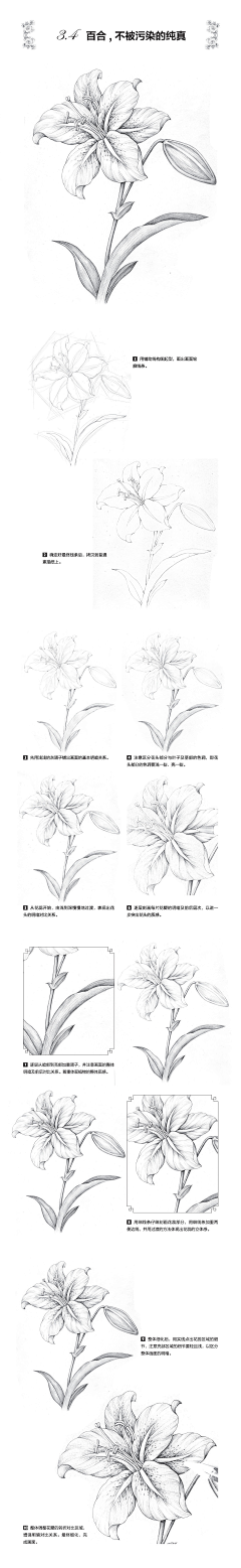 无应采集到手绘