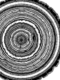 robotcosmonaut:  Tree Rings via bobuhbeartoe: 