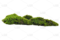pr8zxGOO采集到奶茶