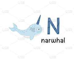 字母,英文字母n,绘画插图,一角鲸,矢量,可爱的,英语,背景分离,字母表次序,野生动物