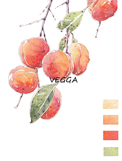 VEGGA小笨采集到VEGGA小笨的手绘清新水彩